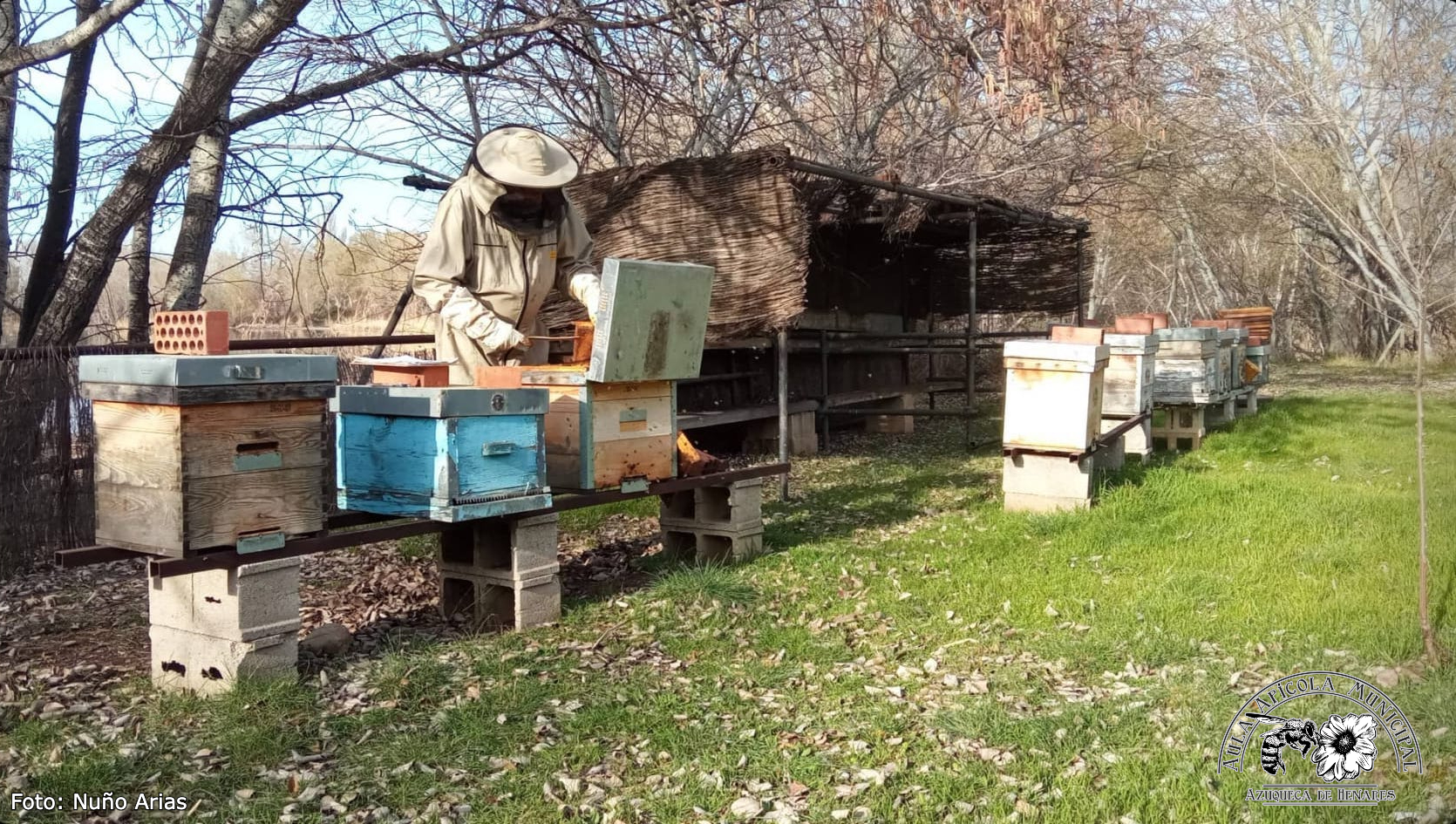 First Responsive Image