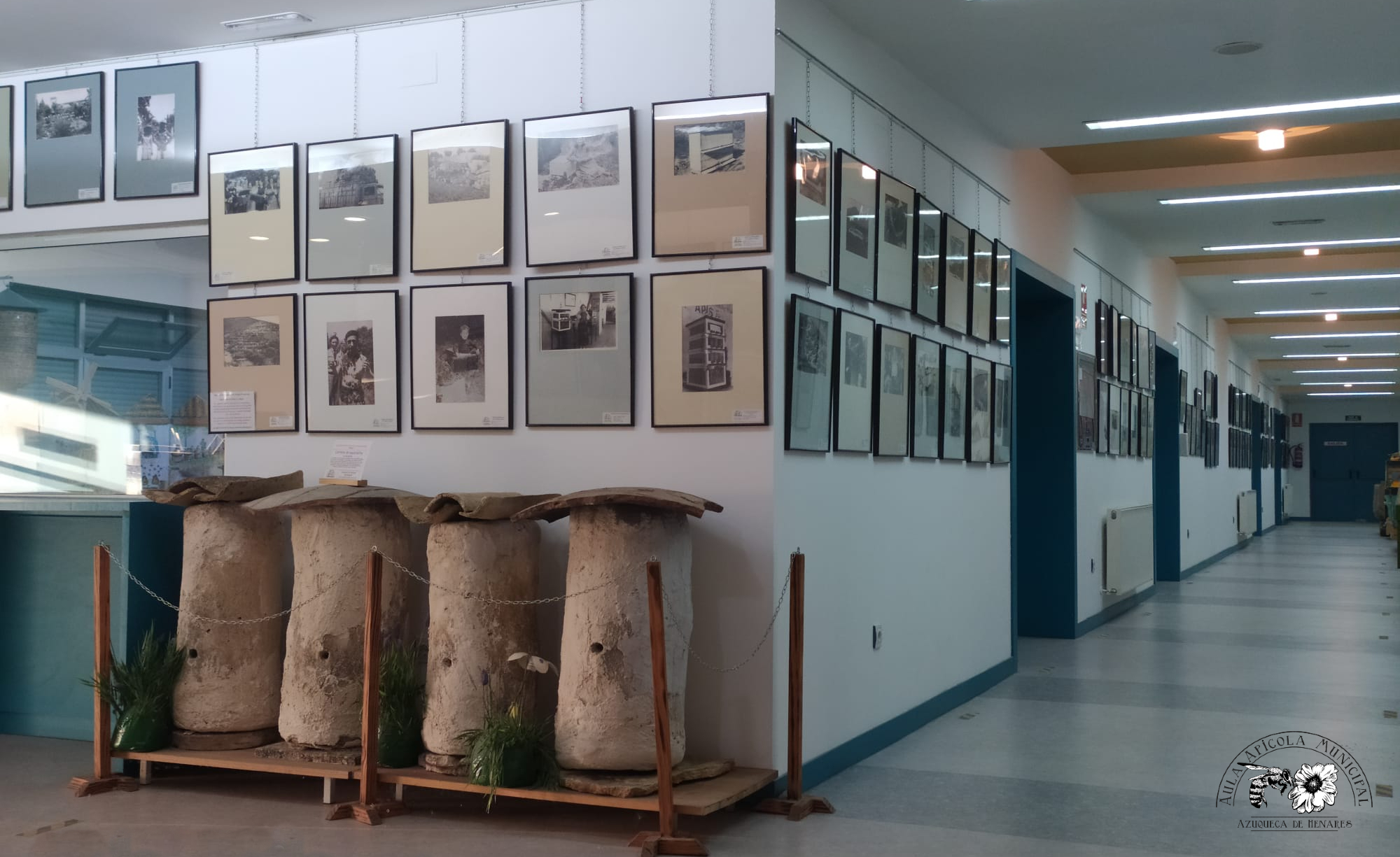 Third Responsive Image