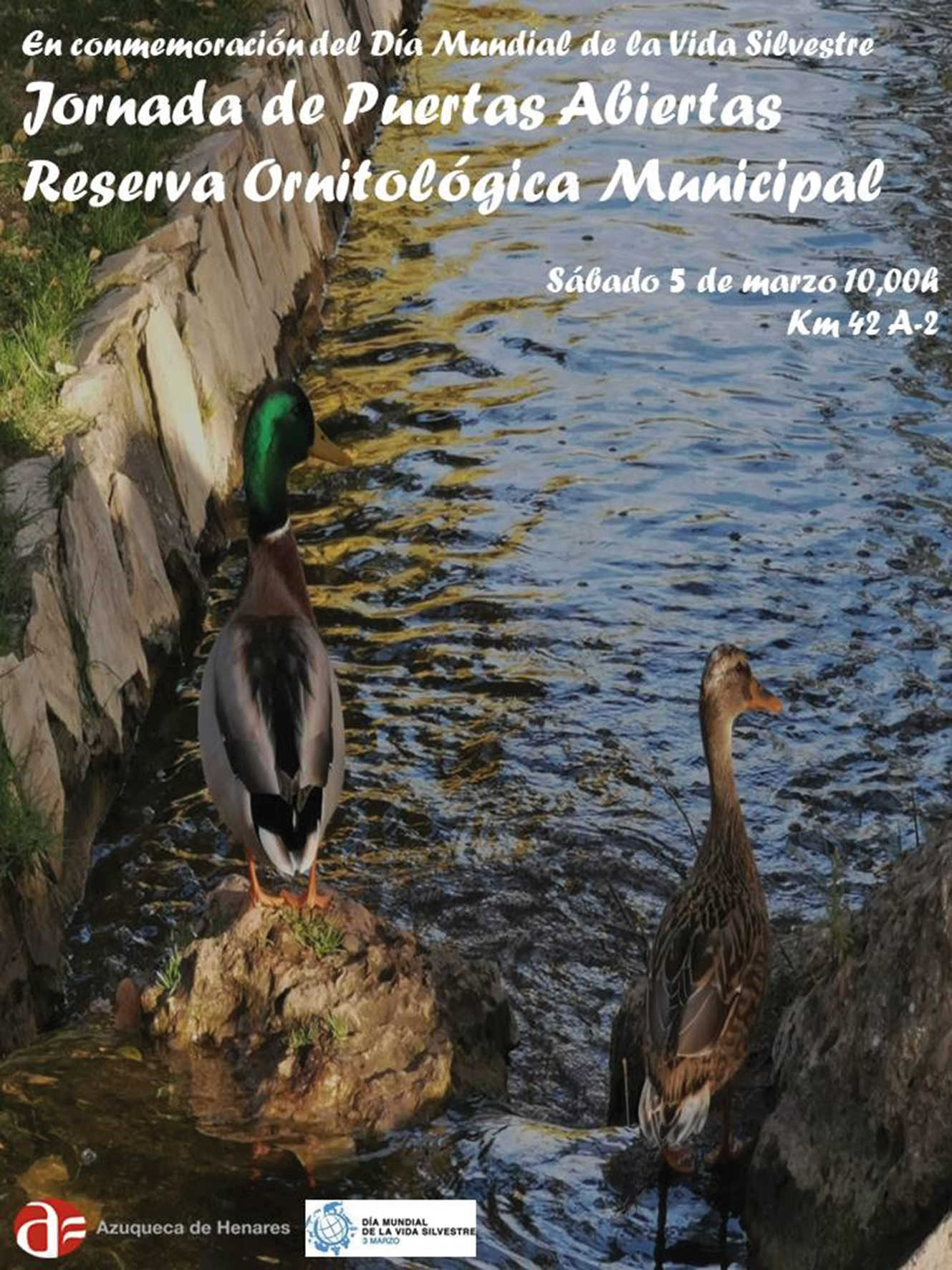 Cartel de la actividad